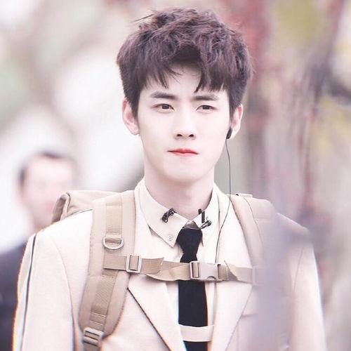 任豪娱乐大爆料,揭秘明星幕后故事与幕后黑幕